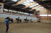Reitschule Interlaken, Ausbildung für Pferd und Reiter