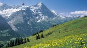 First, Grindelwald with Eiger